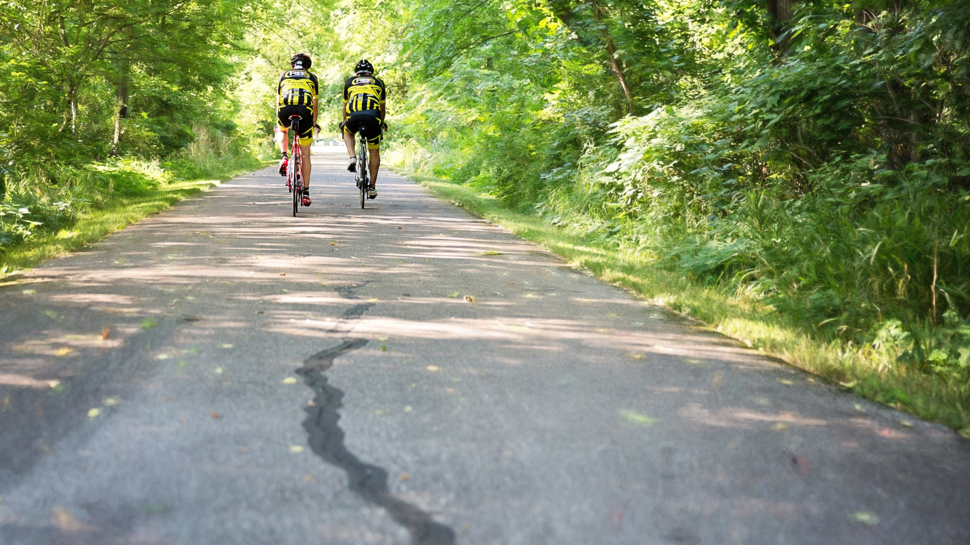 De Langstraat op de fiets