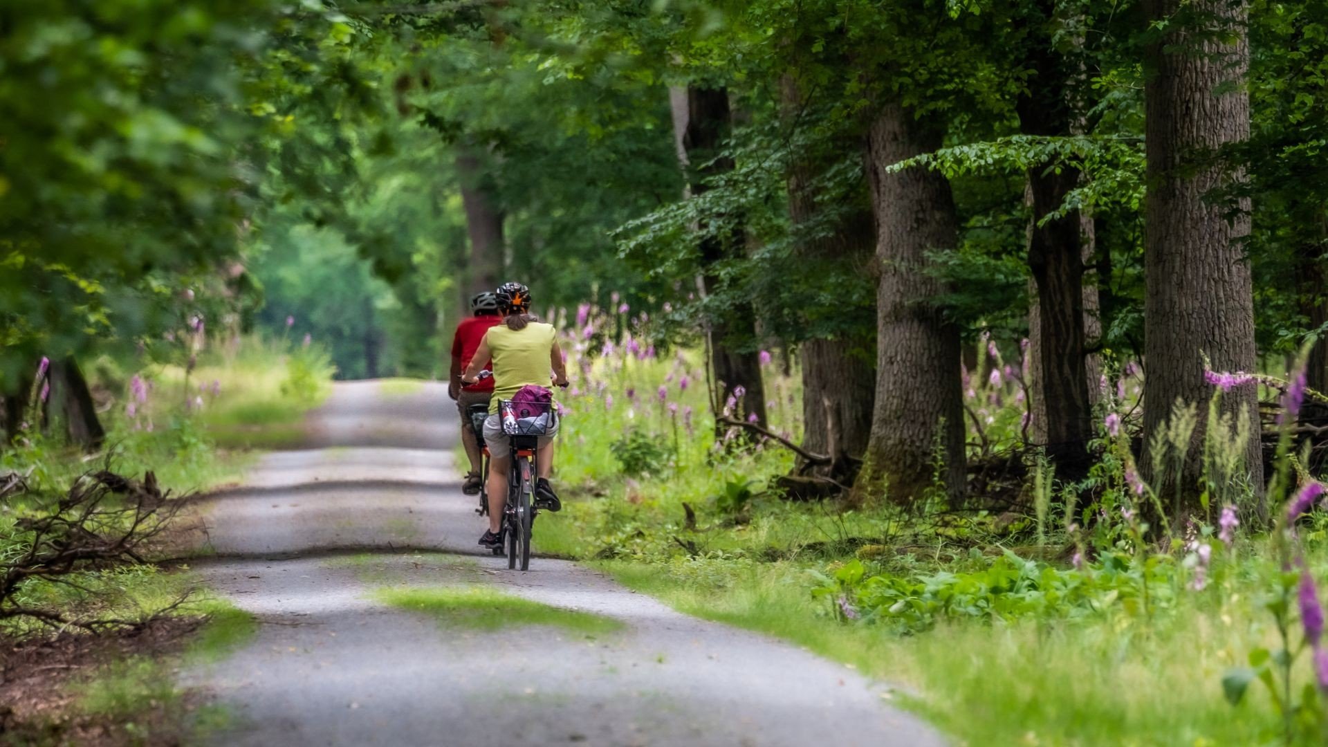 Op de fiets door de omgeving