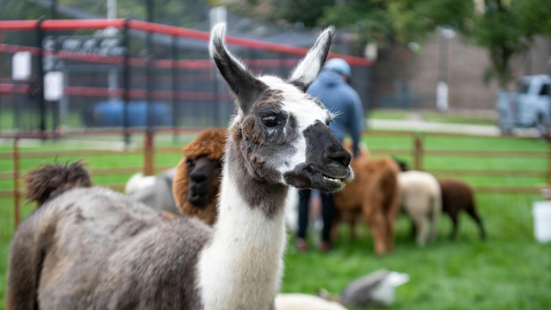 Kinderboerderij Parkhoeve