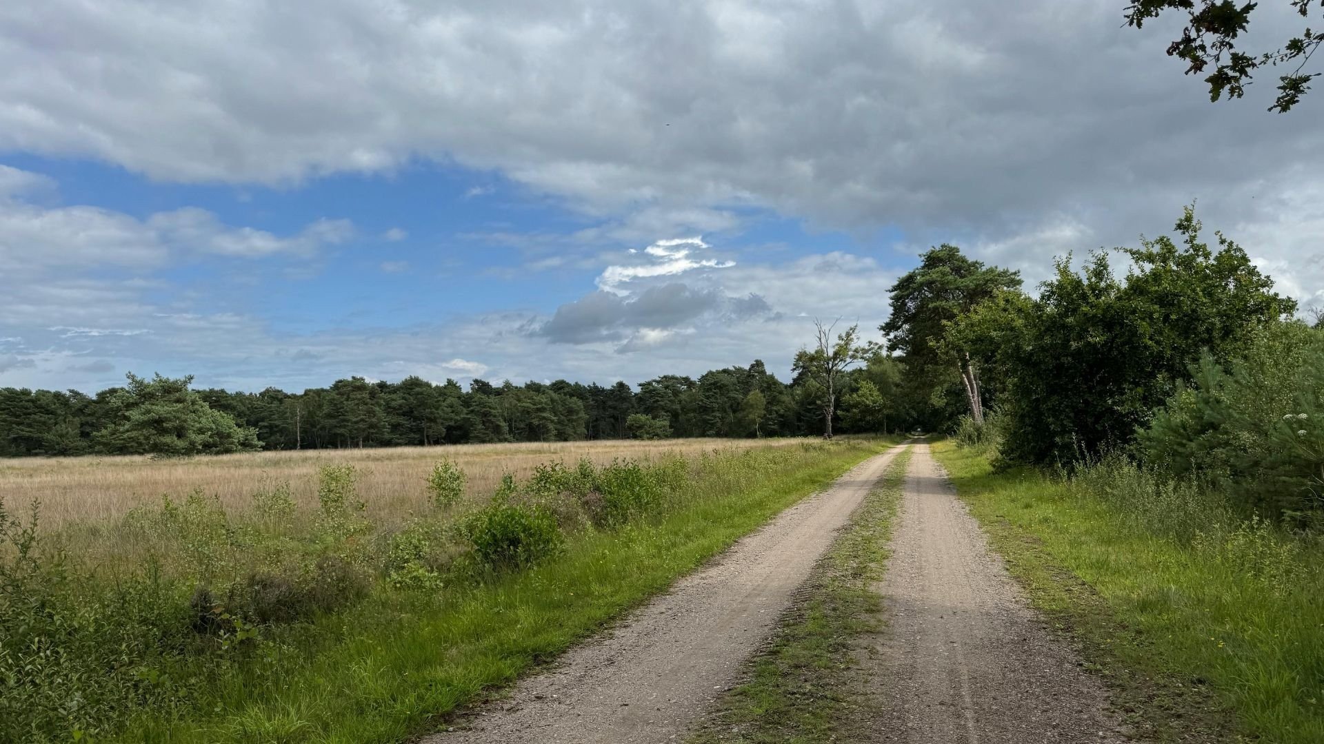 Oisterwijkse Bossen en Vennen
