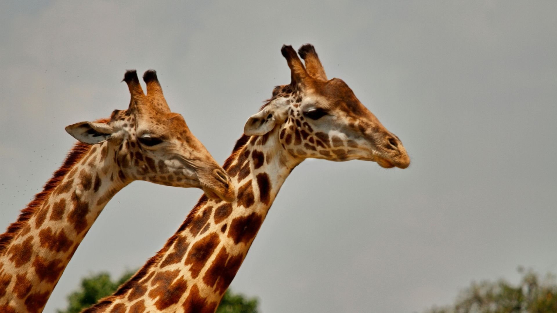 Uitjes voor het hele gezin